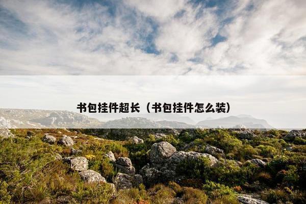 书包挂件超长（书包挂件怎么装）