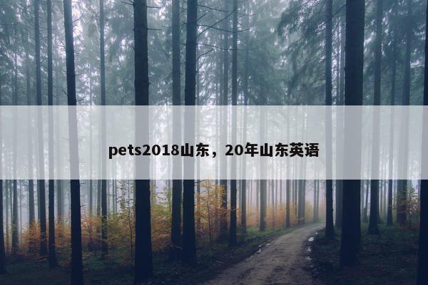 pets2018山东，20年山东英语
