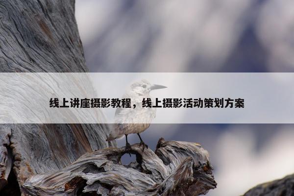 线上讲座摄影教程，线上摄影活动策划方案