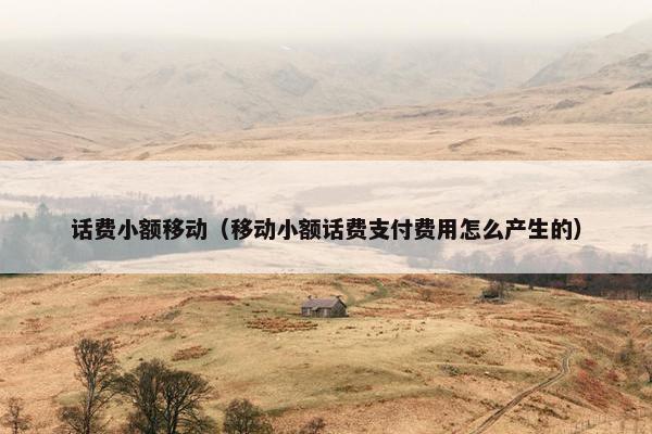 话费小额移动（移动小额话费支付费用怎么产生的）