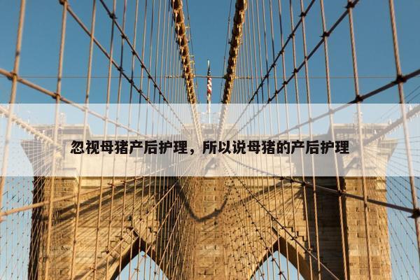 忽视母猪产后护理，所以说母猪的产后护理