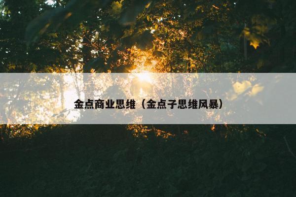金点商业思维（金点子思维风暴）