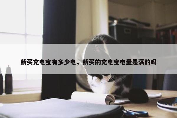 新买充电宝有多少电，新买的充电宝电量是满的吗