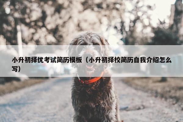 小升初择优考试简历模板（小升初择校简历自我介绍怎么写）
