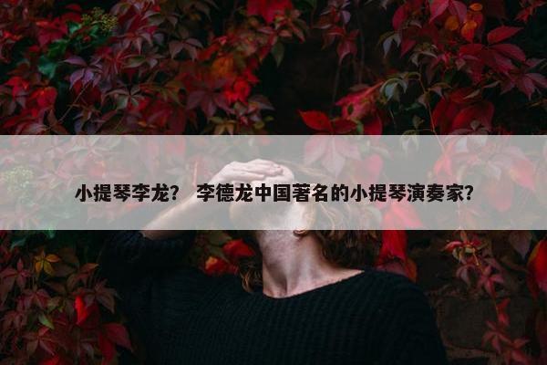 小提琴李龙？ 李德龙中国著名的小提琴演奏家？