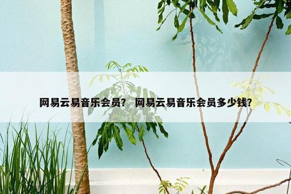 网易云易音乐会员？ 网易云易音乐会员多少钱？