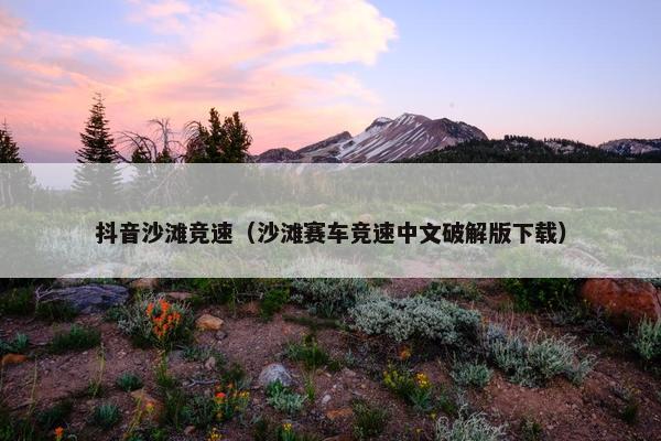 抖音沙滩竞速（沙滩赛车竞速中文破解版下载）