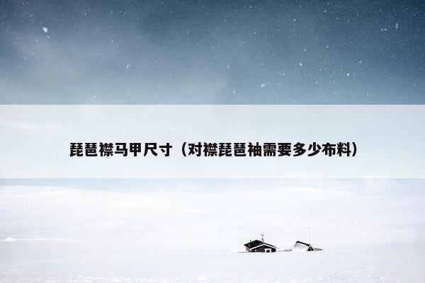 琵琶襟马甲尺寸（对襟琵琶袖需要多少布料）