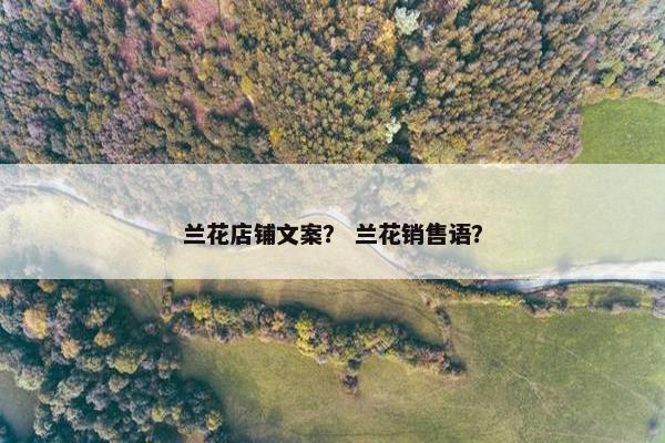 兰花店铺文案？ 兰花销售语？