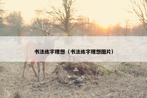书法练字理想（书法练字理想图片）