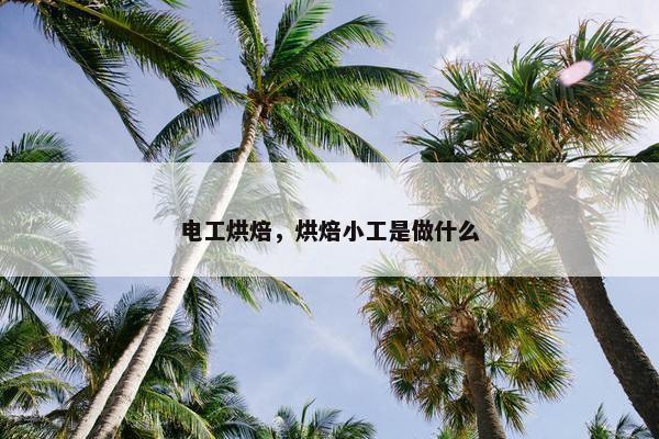 电工烘焙，烘焙小工是做什么