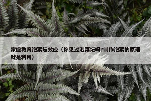 家庭教育泡菜坛效应（你见过泡菜坛吗?制作泡菜的原理就是利用）