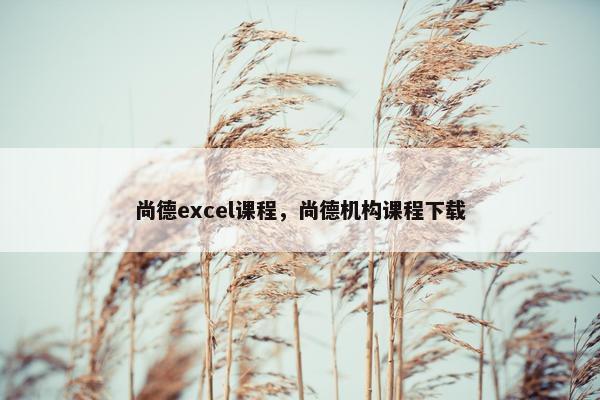 尚德excel课程，尚德机构课程下载