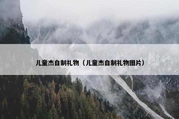 儿童杰自制礼物（儿童杰自制礼物图片）