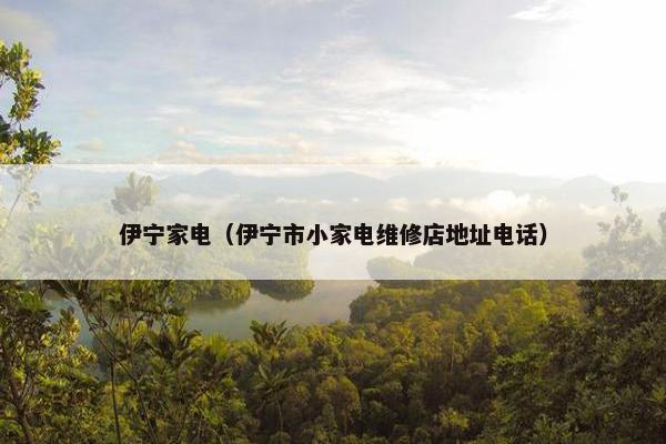 伊宁家电（伊宁市小家电维修店地址电话）