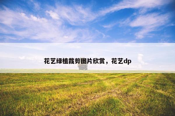 花艺绿植裁剪图片欣赏，花艺dp