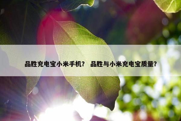 品胜充电宝小米手机？ 品胜与小米充电宝质量？
