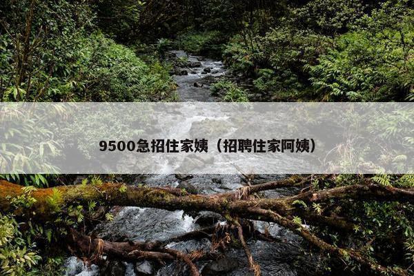 9500急招住家姨（招聘住家阿姨）