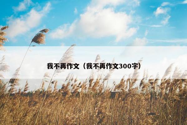 我不再作文（我不再作文300字）