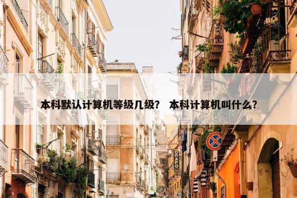 本科默认计算机等级几级？ 本科计算机叫什么？