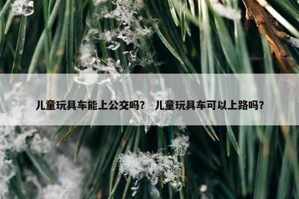 儿童玩具车能上公交吗？ 儿童玩具车可以上路吗？