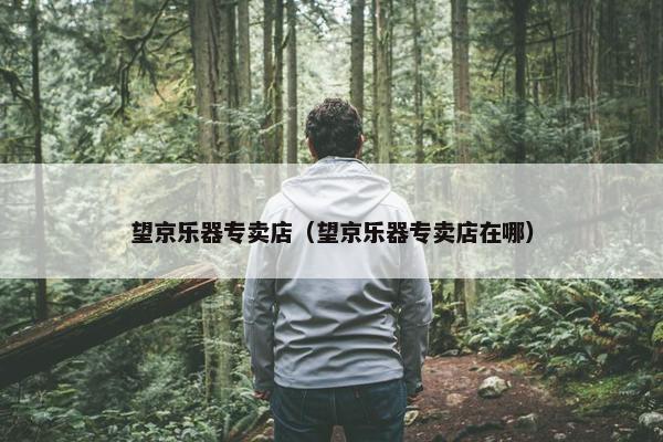 望京乐器专卖店（望京乐器专卖店在哪）