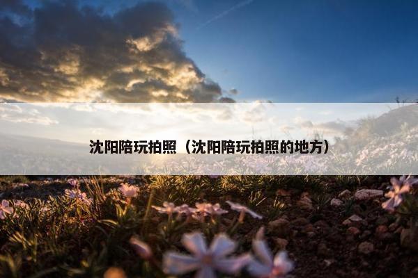 沈阳陪玩拍照（沈阳陪玩拍照的地方）