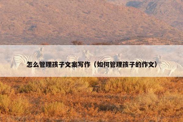 怎么管理孩子文案写作（如何管理孩子的作文）