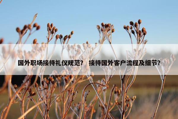 国外职场接待礼仪规范？ 接待国外客户流程及细节？