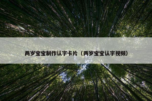 两岁宝宝制作认字卡片（两岁宝宝认字视频）