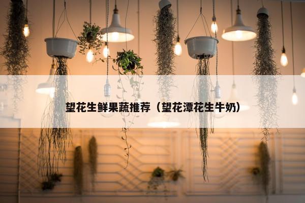 望花生鲜果蔬推荐（望花潭花生牛奶）