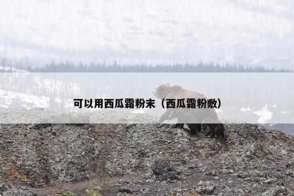 可以用西瓜霜粉末（西瓜霜粉敷）