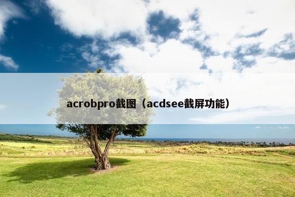 acrobpro截图（acdsee截屏功能）