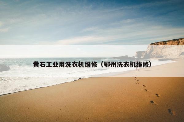 黄石工业用洗衣机维修（鄂州洗衣机维修）