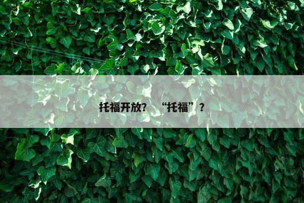 托福开放？ “托福”？