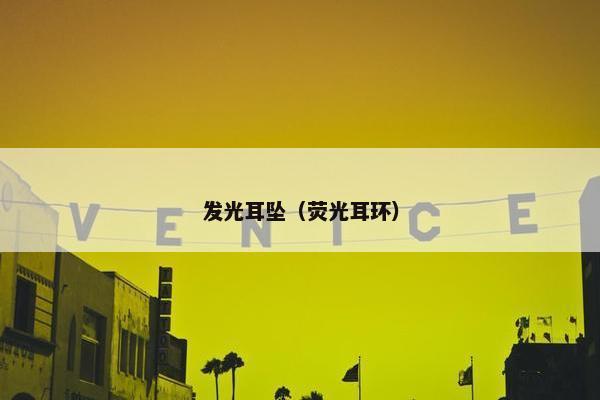 发光耳坠（荧光耳环）