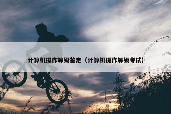 计算机操作等级鉴定（计算机操作等级考试）