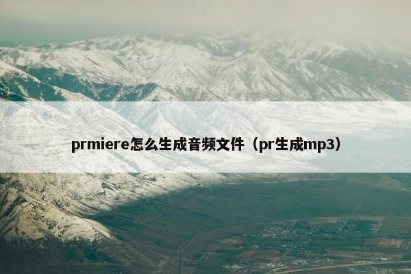 prmiere怎么生成音频文件（pr生成mp3）