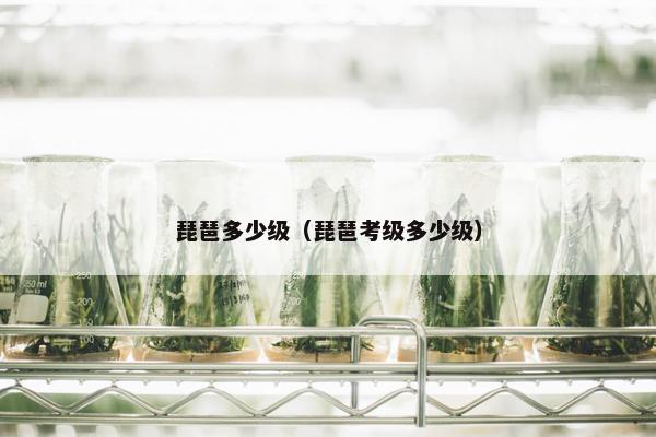 琵琶多少级（琵琶考级多少级）