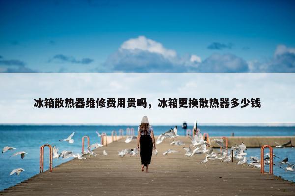 冰箱散热器维修费用贵吗，冰箱更换散热器多少钱