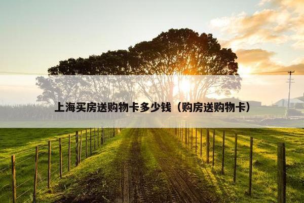上海买房送购物卡多少钱（购房送购物卡）