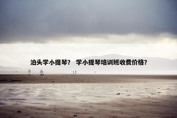 泊头学小提琴？ 学小提琴培训班收费价格？