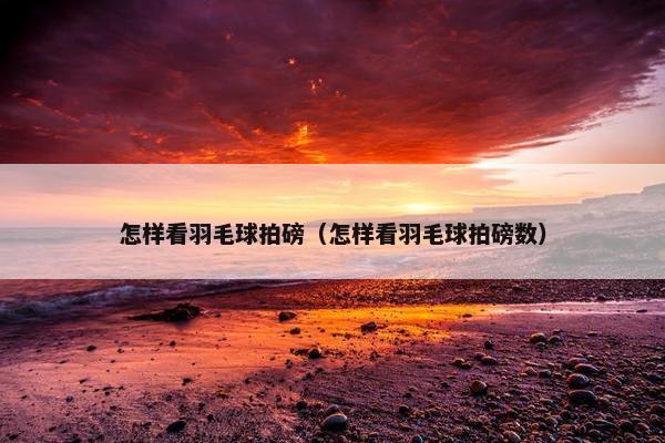 怎样看羽毛球拍磅（怎样看羽毛球拍磅数）