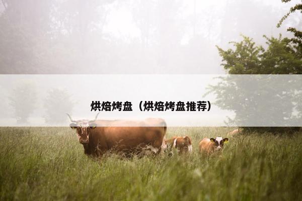 烘焙烤盘（烘焙烤盘推荐）