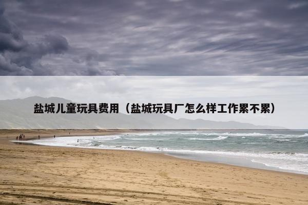 盐城儿童玩具费用（盐城玩具厂怎么样工作累不累）