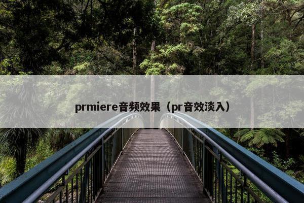 prmiere音频效果（pr音效淡入）