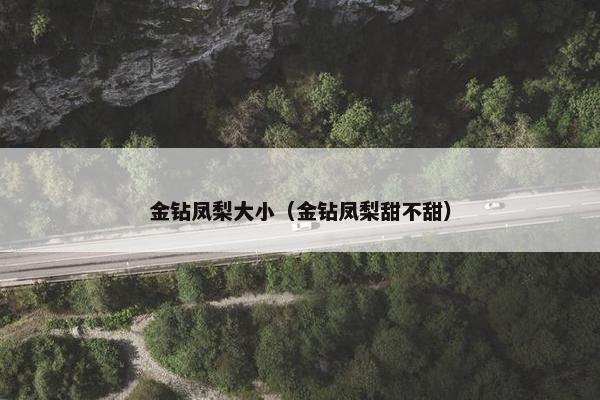 金钻凤梨大小（金钻凤梨甜不甜）