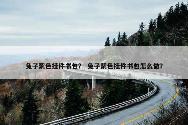 兔子紫色挂件书包？ 兔子紫色挂件书包怎么做？