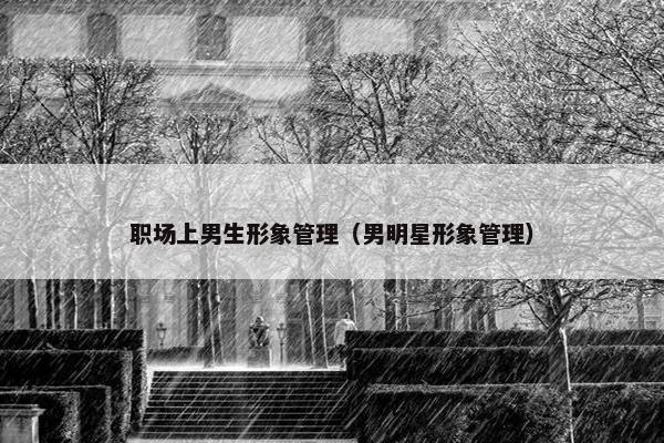 职场上男生形象管理（男明星形象管理）