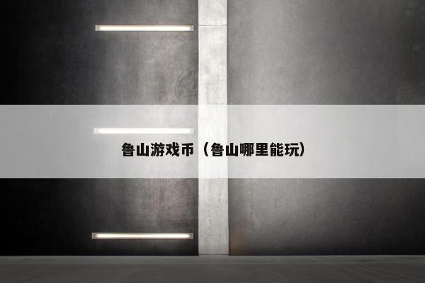 鲁山游戏币（鲁山哪里能玩）